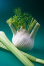 Fennel and celery
