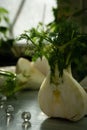 The fennel is closely sliced. Balanced nutrition