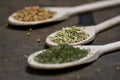 Fennel, Coriander & Dry Parsley Royalty Free Stock Photo