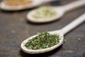 Fennel, Coriander & Dry Parsley Royalty Free Stock Photo