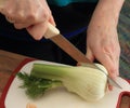 Fennel Cut In Half Royalty Free Stock Photo