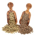 Fennel and Dill Seed Royalty Free Stock Photo