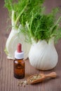 Fennel essential oil, bulb and seeds, selective focus on dark wooden Royalty Free Stock Photo