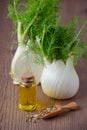 oil, fennel bulb and seeds, selective focus on dark wooden Royalty Free Stock Photo