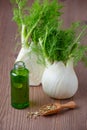 Fennel essential oil, bulb and seeds, selective focus on dark wooden Royalty Free Stock Photo