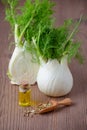 oil, fennel bulb and seeds, selective focus on dark wooden Royalty Free Stock Photo