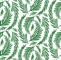 Fennel herbaceous seamless pattern on a white background. Fabric with grass fields. Wallpaper with a branches of dill. Vector