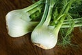 Fennel Royalty Free Stock Photo