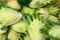 Fennel at the open air market Royalty Free Stock Photo