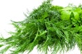 Fennel and parsley green fresh herb isolated on white background Royalty Free Stock Photo