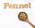 Fennel phrase in wooden letters - Foeniculum vulgare Royalty Free Stock Photo