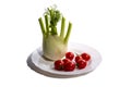 Fennel plant on a plate with tomatoes on a white background