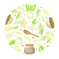 Fennel Round Composition Design with Edible Condiment Vector Template