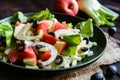 Fennel salad with grapefruit, apple, stalk celery and olives Royalty Free Stock Photo