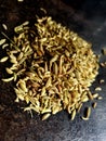 Fennel seed seeds small closeup shot light food