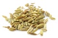 Fennel seeds Royalty Free Stock Photo