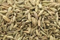 Fennel seeds