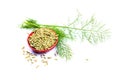 Fennel seeds Royalty Free Stock Photo