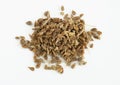 Fennel seeds Royalty Free Stock Photo