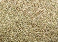 Fennel seeds background Royalty Free Stock Photo