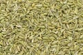 Fennel seeds