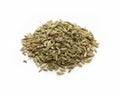 Fennel seeds, indian spice