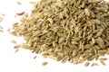 Fennel Seeds Macro Isolated Royalty Free Stock Photo