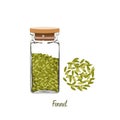 Fennel seeds in square glass bottle with lid and some of fennel seeds outside the bottle. Seasoning drawing on withe background.