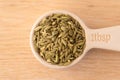 Fennel Seeds in a Tablespoon