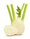 Fennel Royalty Free Stock Photo
