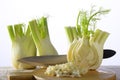 Fennel Royalty Free Stock Photo