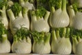 fennel vegetables food Royalty Free Stock Photo