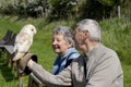 Fenton Bird of Prey Centre Royalty Free Stock Photo