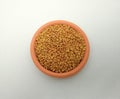 fenugreek or alholva seeds Trigonella foenum-graecum Royalty Free Stock Photo