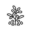 Black line icon for Fenugreek, seed and trigonella