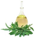 Fenugreek leaves with essential oil Royalty Free Stock Photo