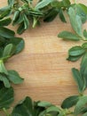 Fenugreek leaves frame on wooden background Royalty Free Stock Photo