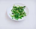 Fenugreek leaves greens healthiest green leafy vegetable herb organic food a flavouring agent for cuisines in a plate photo