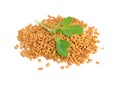 Fenugreek seed with leawes. Trigonella foenum-graecum