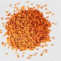 Fenugreek Seed or Methi dana or Alholva or Bockshornklee or Chandrika or Fenogreco or Foenugraeci Semen on white background Royalty Free Stock Photo