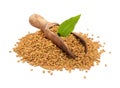 Fenugreek seed with pharmaceutical bottle. (Trigonella foenum-graecum) Royalty Free Stock Photo