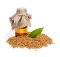 Fenugreek seed with pharmaceutical bottle. (Trigonella foenum-graecum) Royalty Free Stock Photo