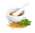 Fenugreek seed with pharmaceutical mortar. Trigonella foenum-gr