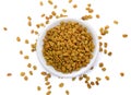 Fenugreek seed with sprout. Trigonella foenum-graecum isolated Royalty Free Stock Photo