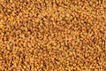 Fenugreek seeds as background, top view. Brown fenugreek seeds, methi dana, helba or shambala Royalty Free Stock Photo