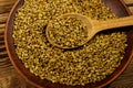 Fenugreek seeds in ceramic plate on wooden table Royalty Free Stock Photo
