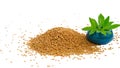 Fenugreek seeds with fresh plant.Herbal medicine.Trigonella,fenugreek plants Royalty Free Stock Photo