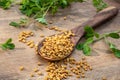 Fenugreek seeds and fresh trigonella plant on a table