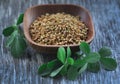 Fenugreek seeds with green leaves Royalty Free Stock Photo