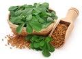 Fenugreek seeds with green leaves Royalty Free Stock Photo